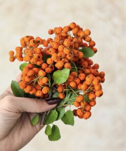 تزئینات پاییزی زالزالک وحشی زالزالک تزئینی شمع پاییزی پاییز شمعسازی